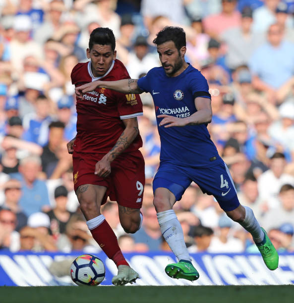 而新引進的 而新引進的