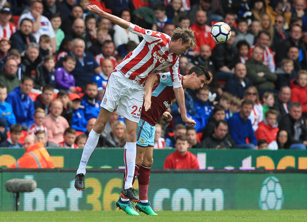 荷兰队的整 荷兰队的整