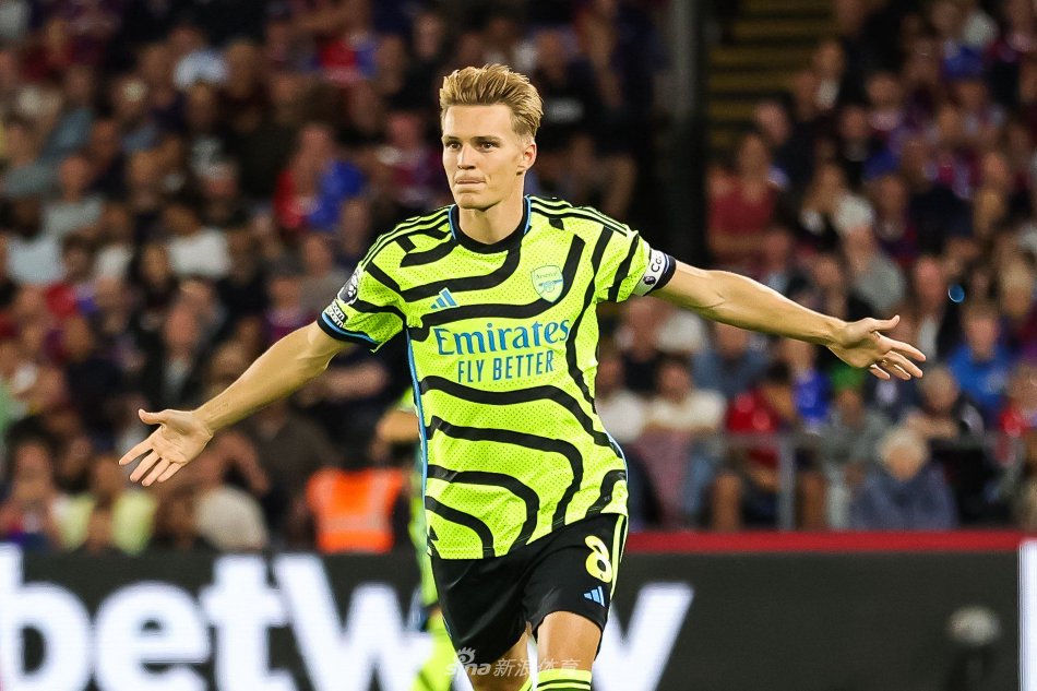 桂花的优雅 桂花的优雅